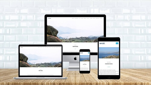 Bafa Gölü Tanıtım Sitesi web projesi