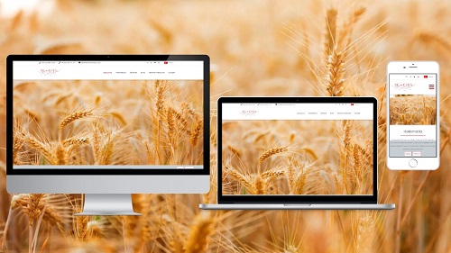 Demeter Kimya ve Gıda Sanayi web projesi