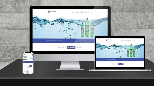 Doris Gıda web projesi