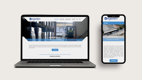 Egeden Kurumsal Web Sayfası web projesi