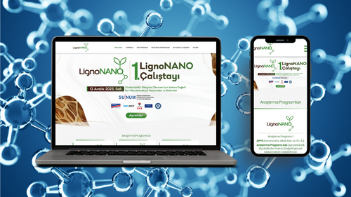 LignoNANO Web Sayfası web projesi